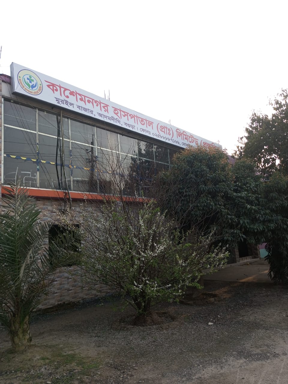 Image 4